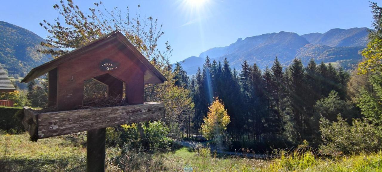 Chalet L'alpe Saint-Pierre-d'Entremont (Savoie)
