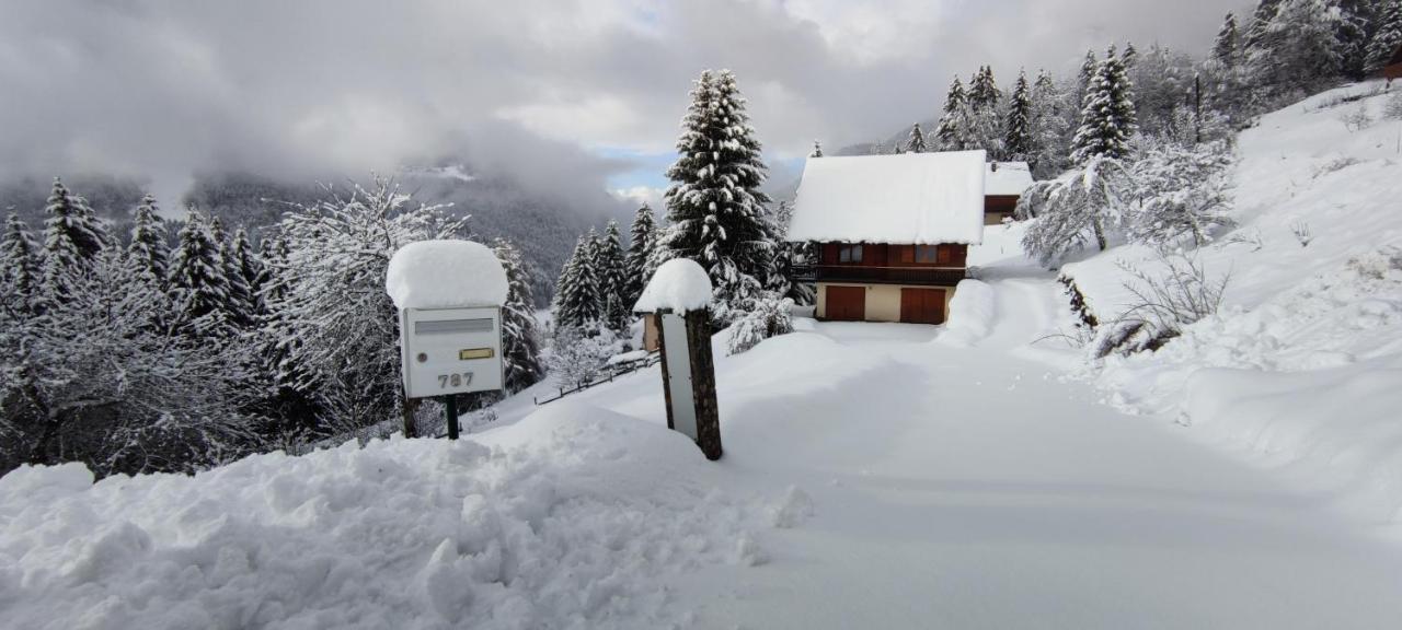 Chalet L'alpe *